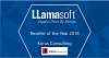 Лидер продаж решений Supply Chain by Design на базе LLamasoft в 2018 году